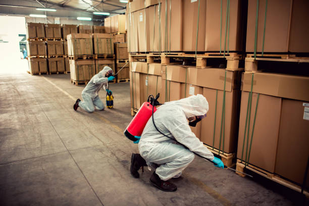Best Termite Control Services  in Sandia Heights, NM