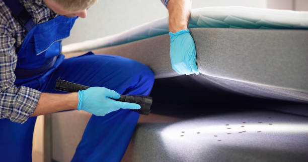 Best Mosquito Control Services  in Sandia Heights, NM