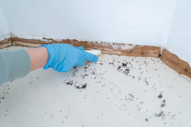 Best Best Pest Control Companies  in Sandia Heights, NM