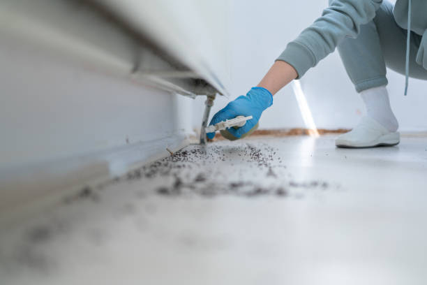 Best Pest Prevention Services  in Sandia Heights, NM