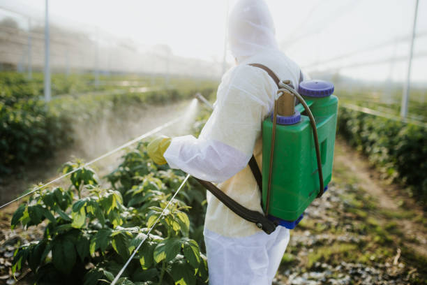 Best Best Pest Control Companies  in Sandia Heights, NM